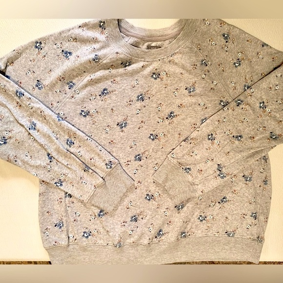 aerie Tops - Aerie Heather Gray/ Blue/Brown Floral Print Lightweight Sweatshirt, Size Medium
